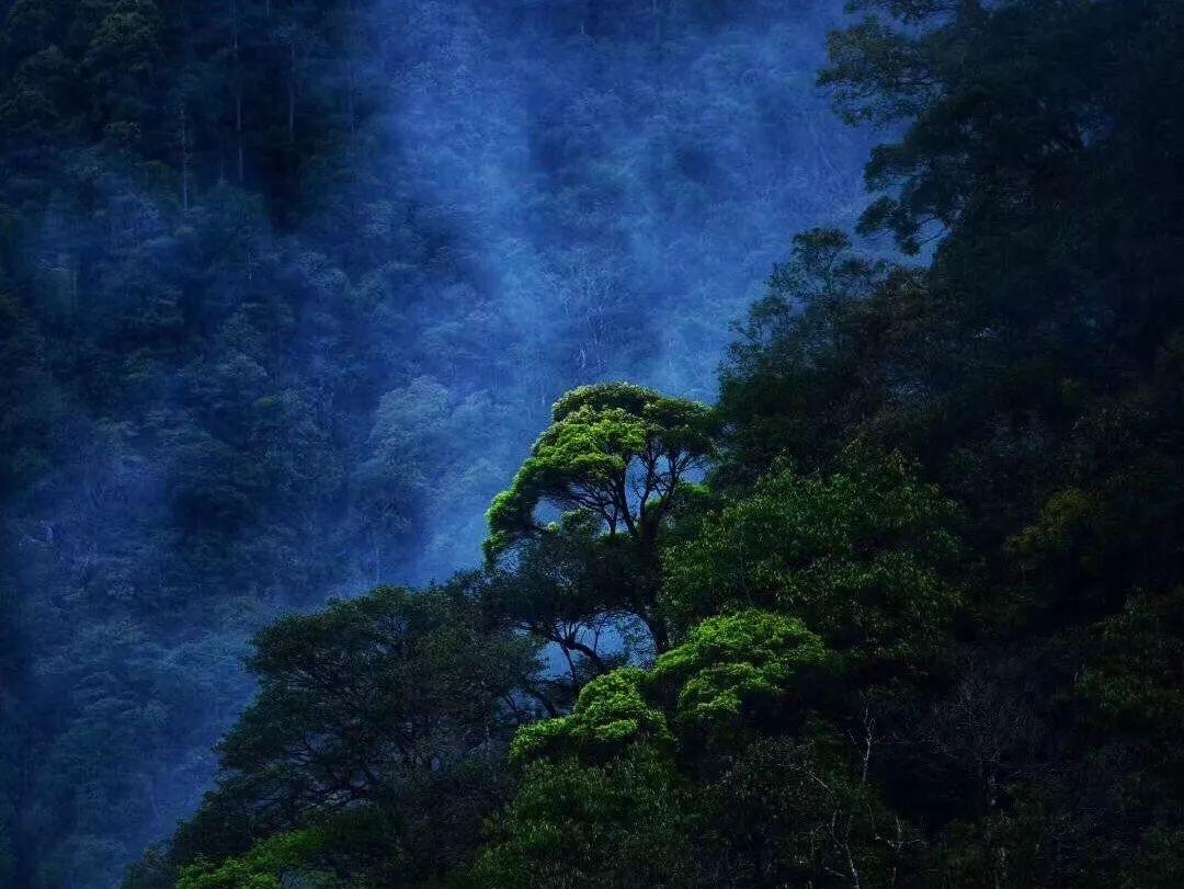 万众狂欢
